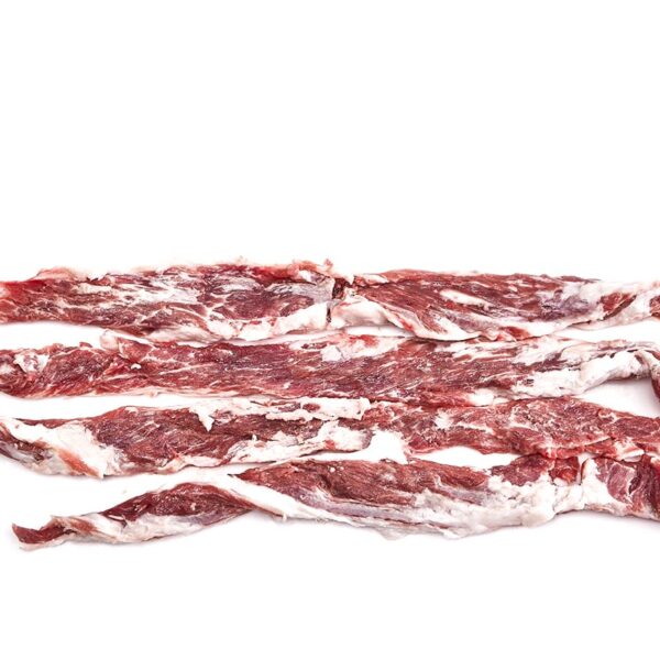 LAGARTO IBÉRICO
