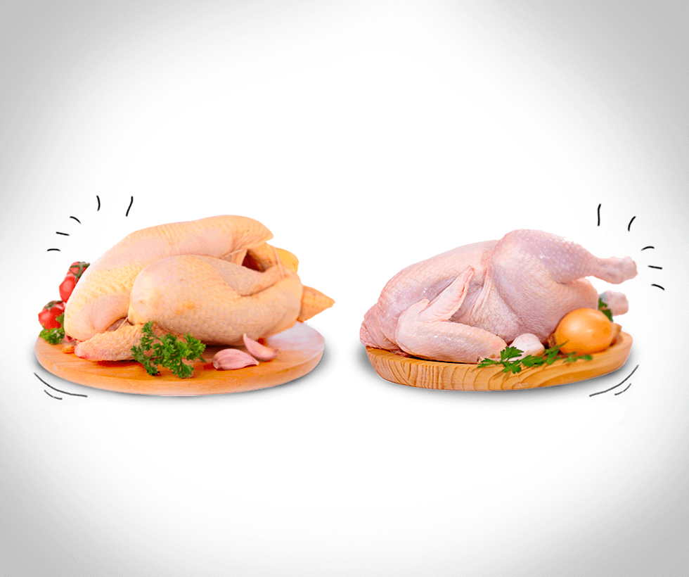 Es verdad que los pollos amarillos son de corral criados con maíz? |  Carnicería Online | Comprar carne a domicilio