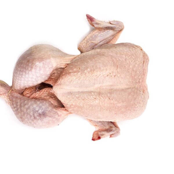 POLLO ASADOR